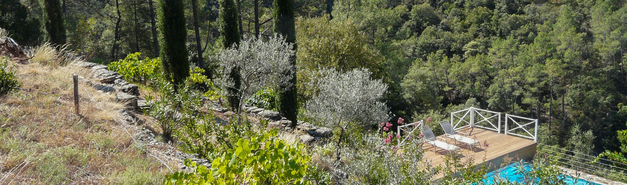 Le jardin